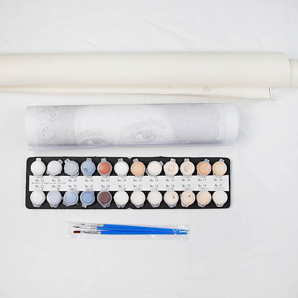 Pintura por Números para Adult - Embroidery Translate avaliação e preço